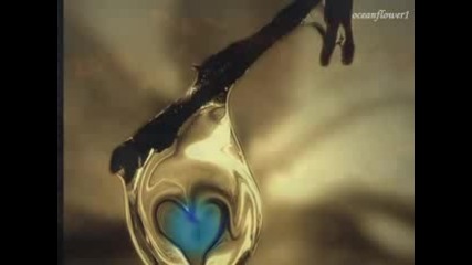 Ernesto Cortazar - In Mood for Love ( Romantic video )