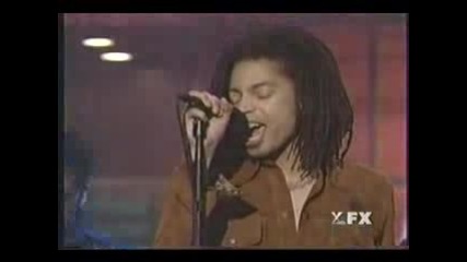 Sananda Maitreya - Designated Fool: Live