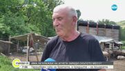 Крадат ли се агнета преди Гергьовден