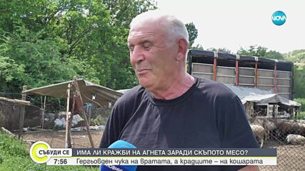 Крадат ли се агнета преди Гергьовден