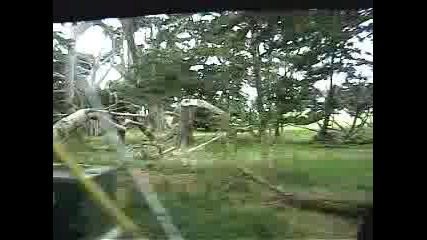 17 Mile Drive, Pebbe Beach - Калифорния