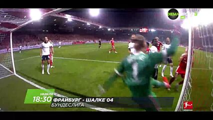 Фрайбург - Шалке 04 на 11 октомври, неделя от 18:30 ч. по DIEMA SPORT 3