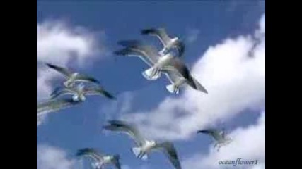 Dancing with the wind - relaxing piano music