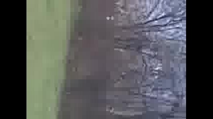 Видео000
