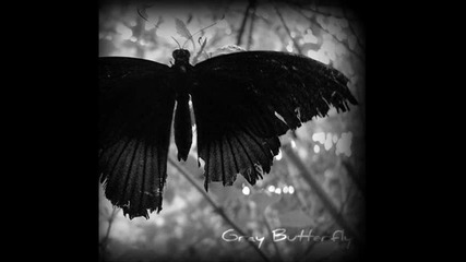 Errana - Gray Butterfly