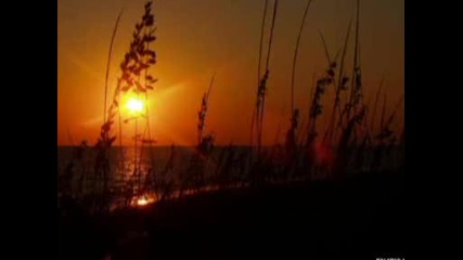 Smokie - Think About The Night.