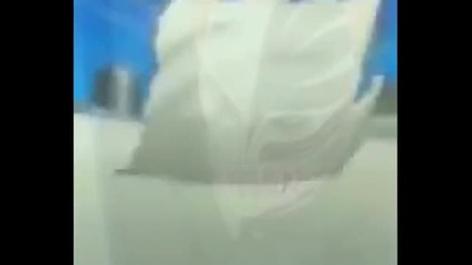 Bleach~skillet Hero 