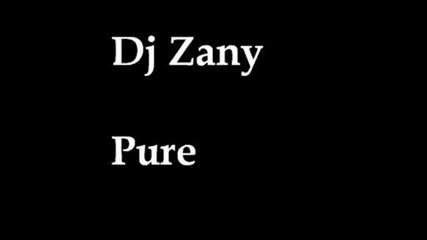 Dj Zany - Pure