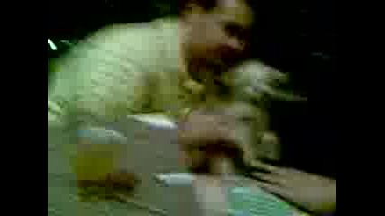 bati6nica