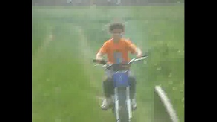 Deniz 2000
