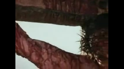 Zashto se rodi isus