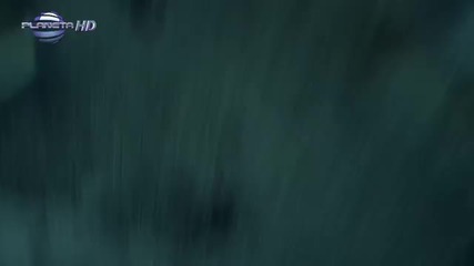 Галена - Дай ми (официално видео) 2013