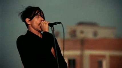 Red Hot Chili Peppers - The Adventures of Rain Dance Maggie