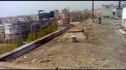 гларус звяр