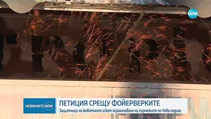 Защитници на животните искат ограничаване на пиротехниката по Нова година