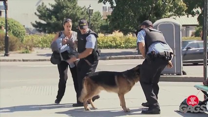 Бясно Куче Захапва Полицай - Скрита Камера