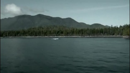 Dark Island 