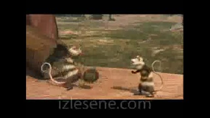 Fielc Mouse