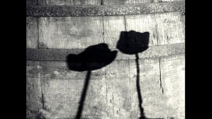 Arrive Alive - I Have Two Shadows