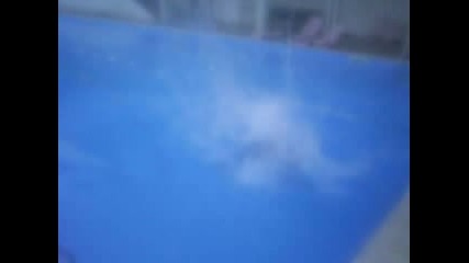 Скок