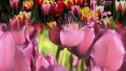 Цветя на нашия живот