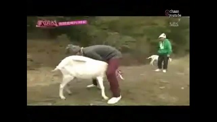 Heechul funny moments ^^