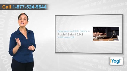 How to delete history in Apple® Safari 5.0.2 in Windows® Xp?