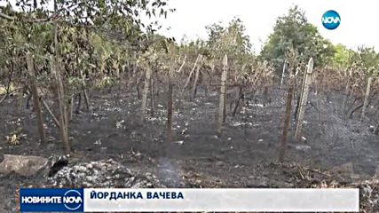 ПОЖАРИ В ЯМБОЛСКО: Пламъците доближиха къщи, хора напуснаха домовете си