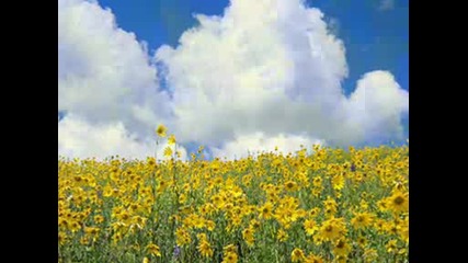 Enya - only time.wmv