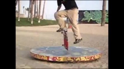 Skateboarding - Tony Hawk and Rodney Mullen 