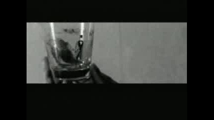 Einsturzende Neubauten - Stella Maris