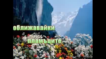 Пустинна роза