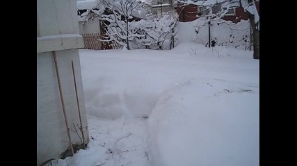Снежна София 2012