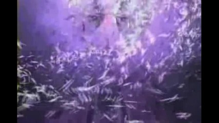 Intro for :the Black Angel Production 