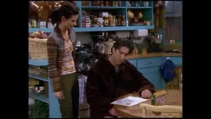 Friends - S05e11 - All The Resolutions