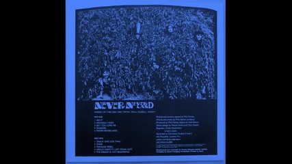 Pink Fairies - 02 Heavenly Man