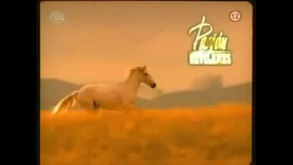 Pasion de gavilanes Intro (english Subtitles)
