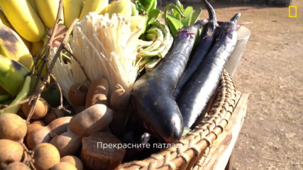 Гордън Рамзи: Кулинарният изследовател - съставки от Лаос