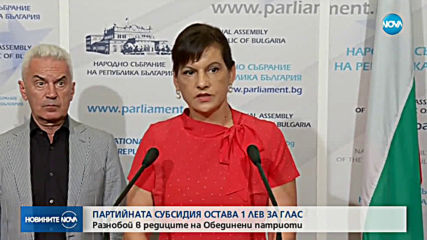 Партийната субсидия остава 1 лев