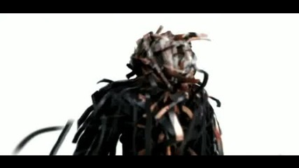 Chris Brown ft Lil Wayne - I Can Transform Ya 