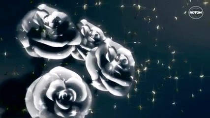 (2013) Stroke 69 - Black Rose