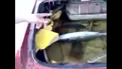 Как Се Продава Риба В Пловдивско