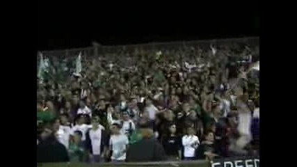 Ultras Maccabi Haifa 