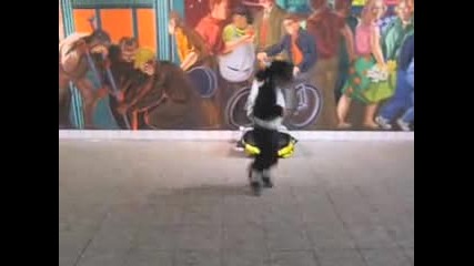 Mini Michael Jackson