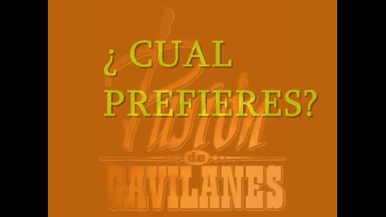 Gavilanes.wmv