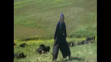 Колекция от смешни картинки .gif