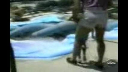 Funny Falls 