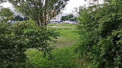 Vid_20200603_191558