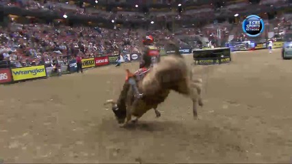 Austin Meier vs. Rainbow