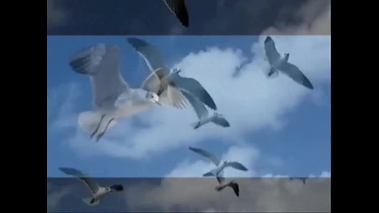 Mariah Carey and Whitney Houston sing...when you Believe